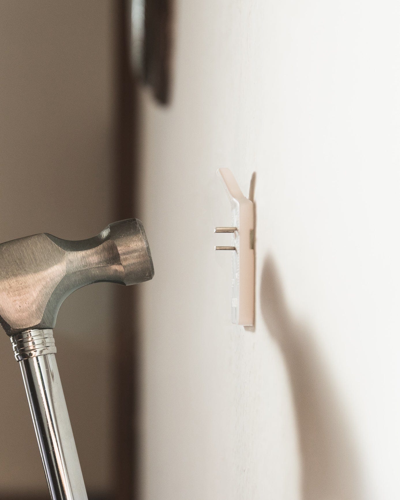 BOLD Billedkrog (2 stk)