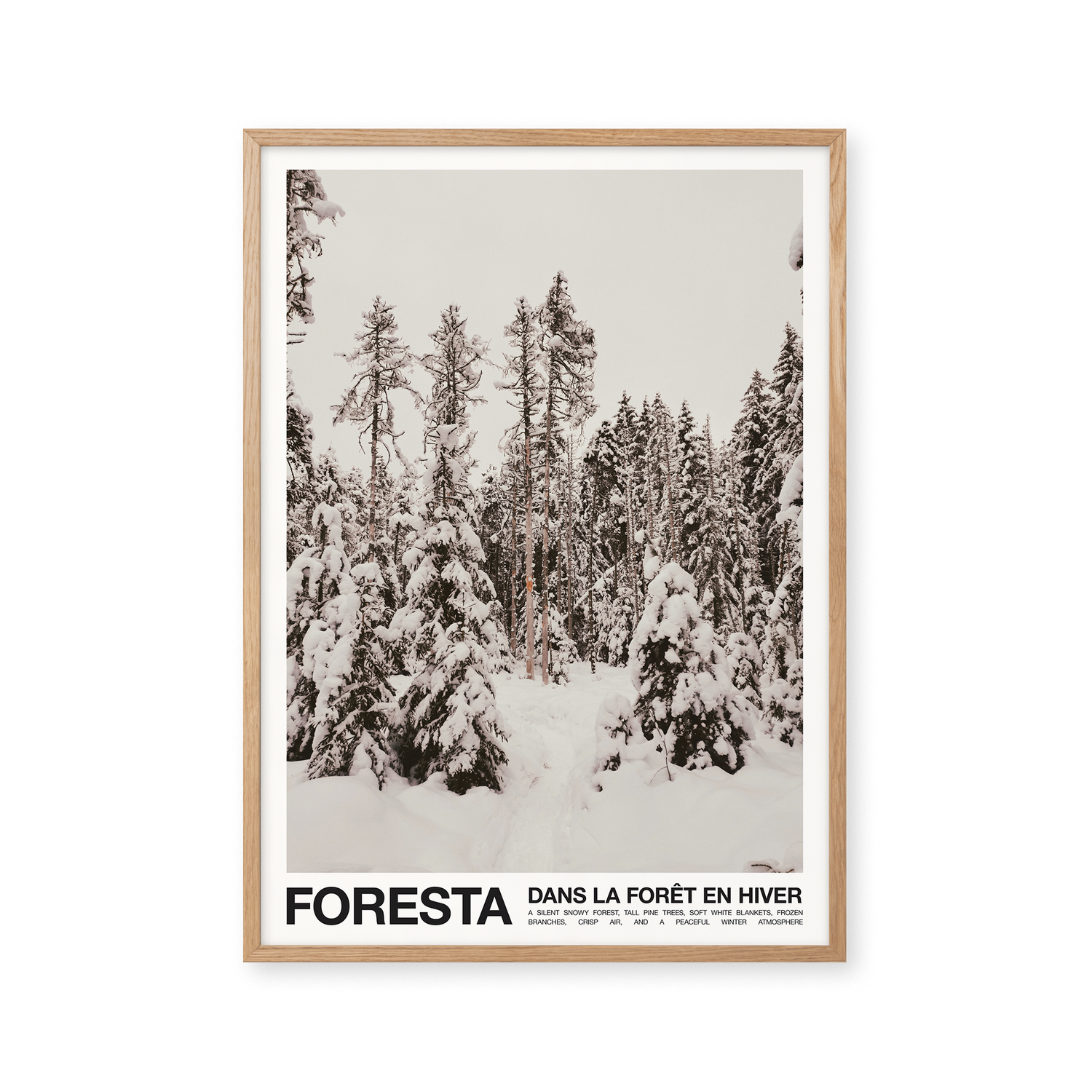 Foresta