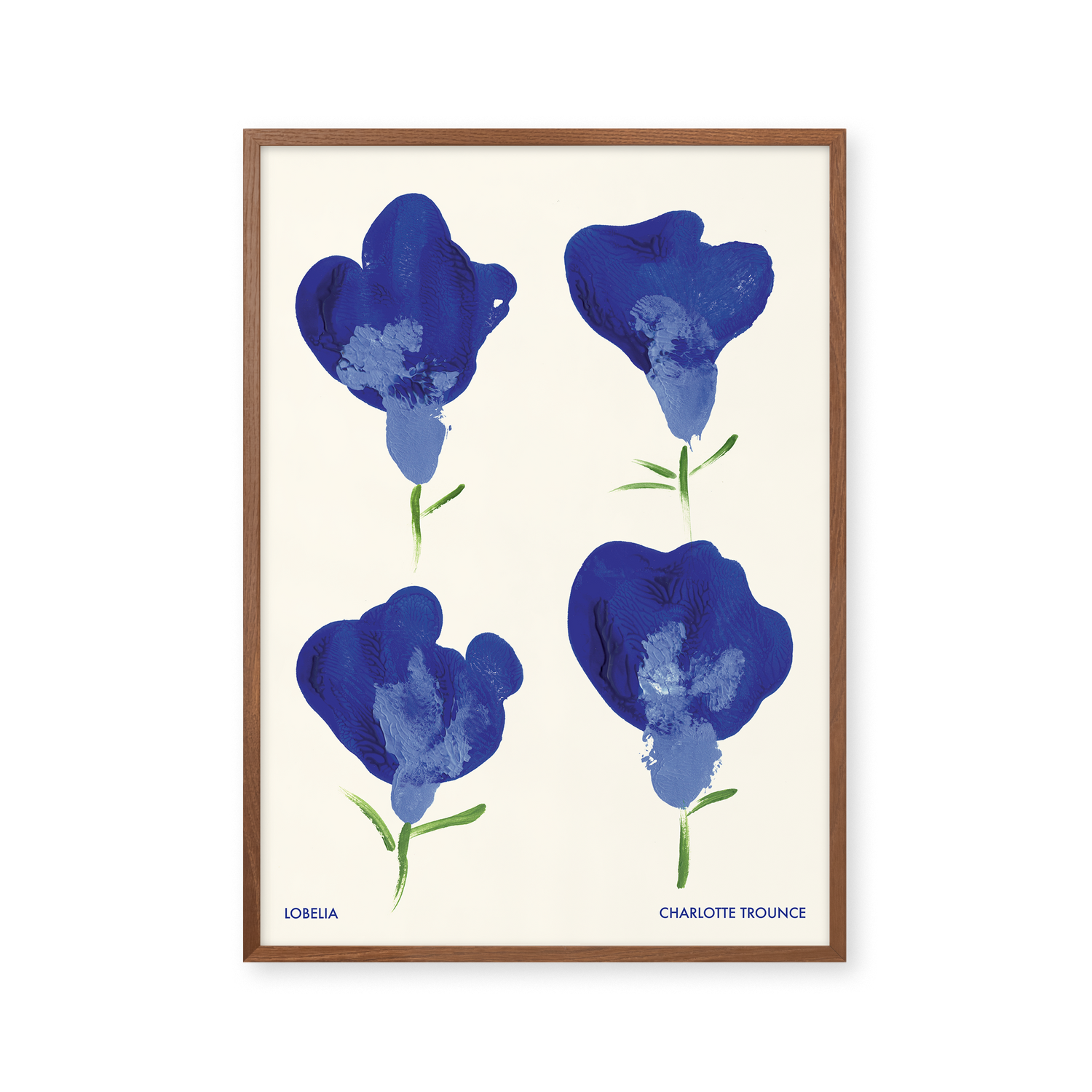 Lobelia