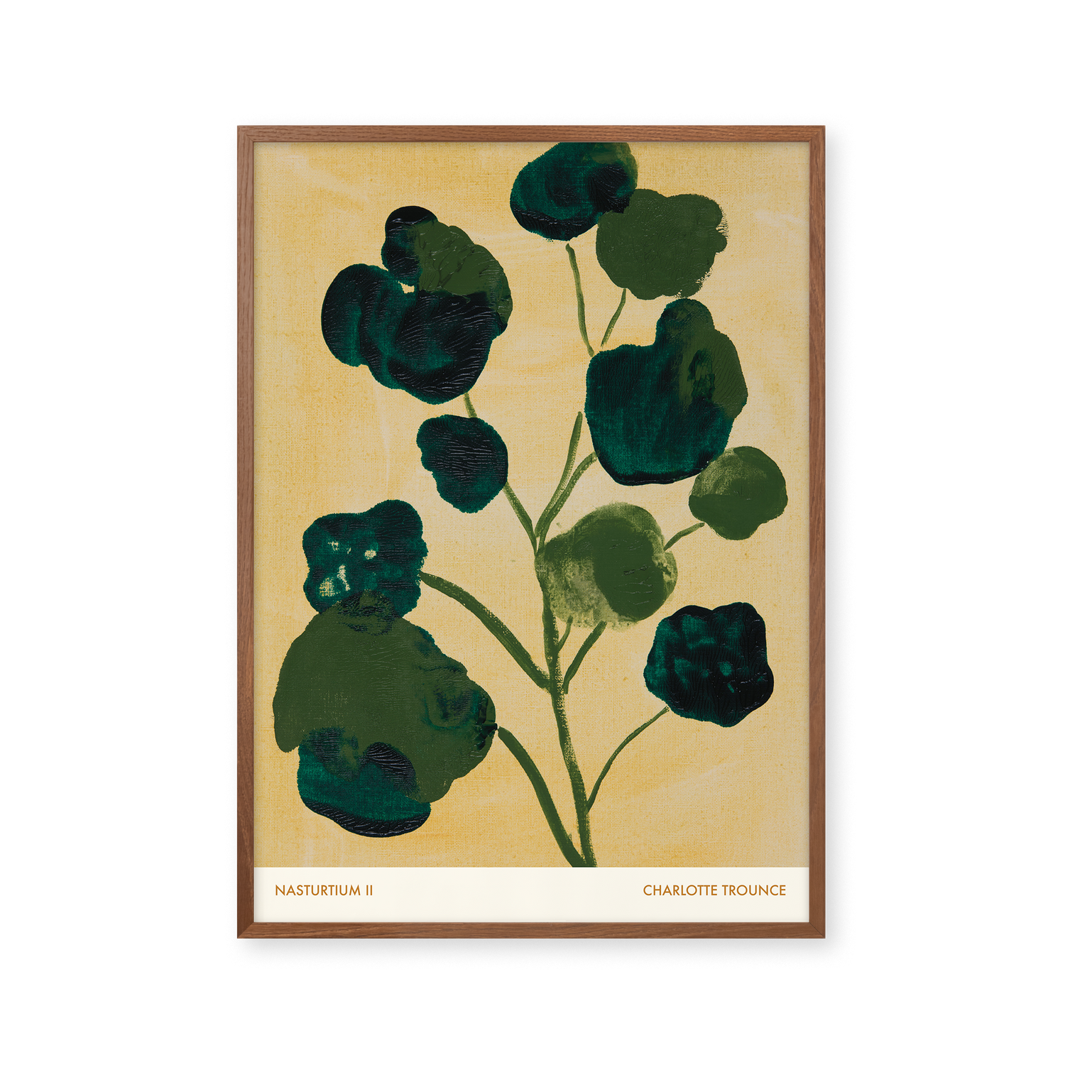 Nasturtium II
