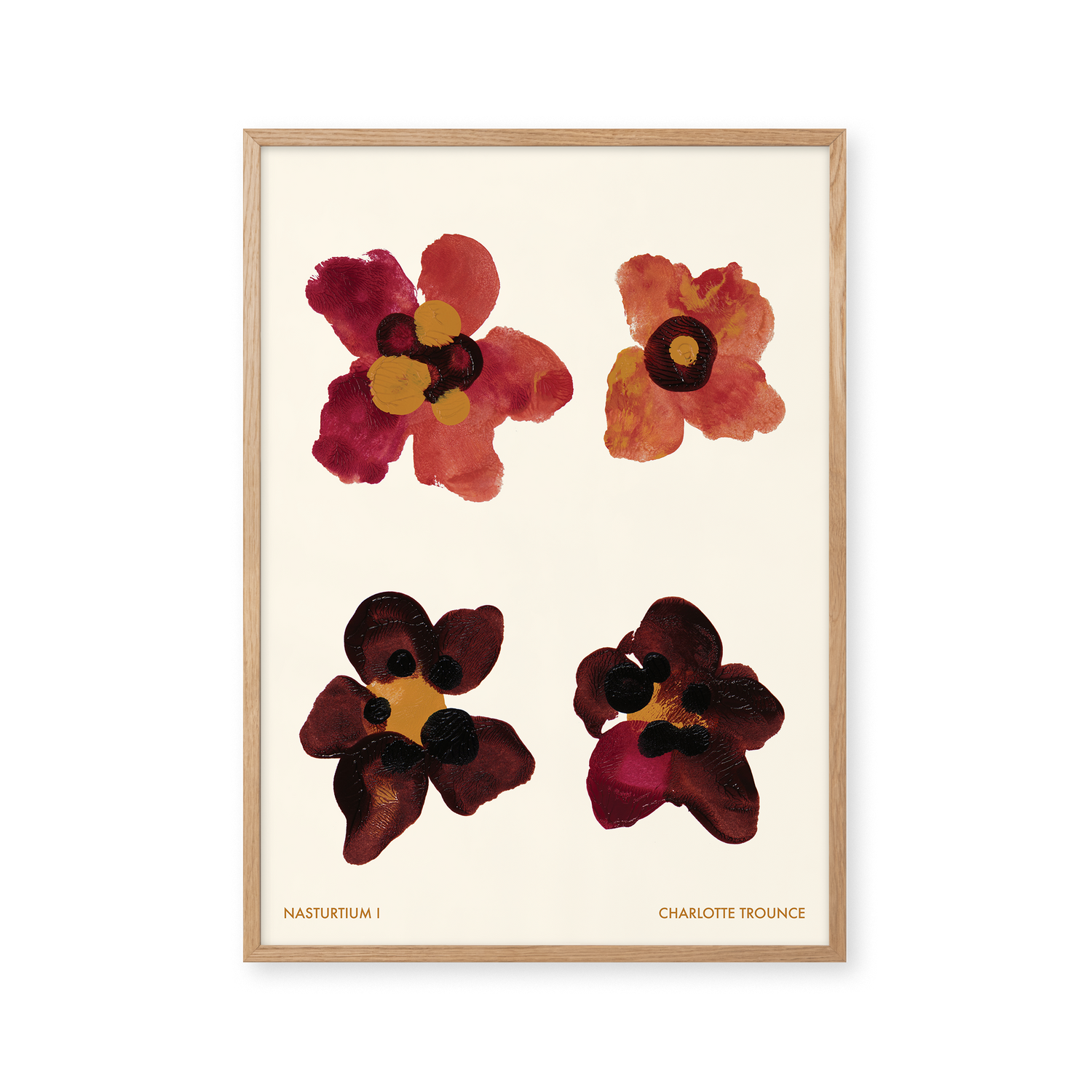 Nasturtium I