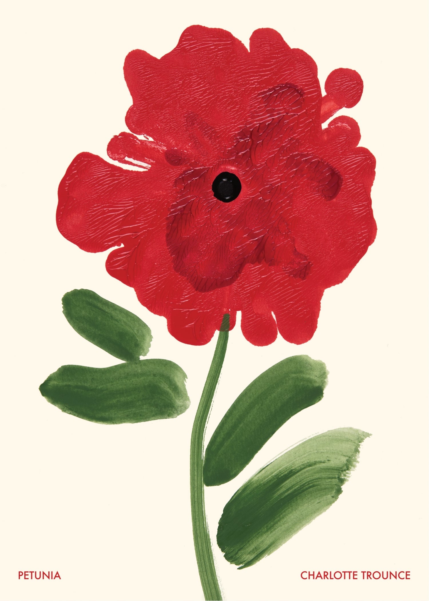Petunia