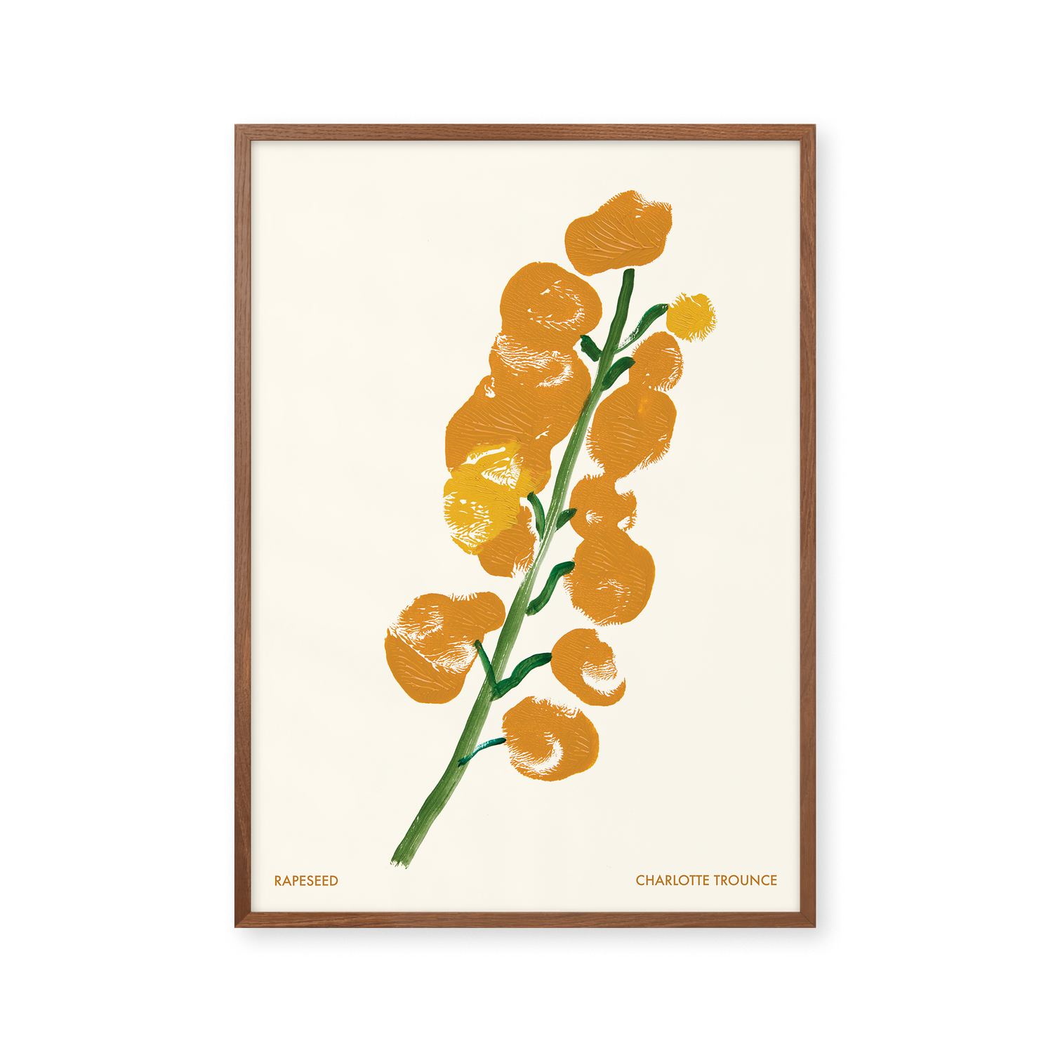 Rapeseed