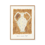 Amphora
