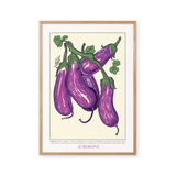 Five Aubergines