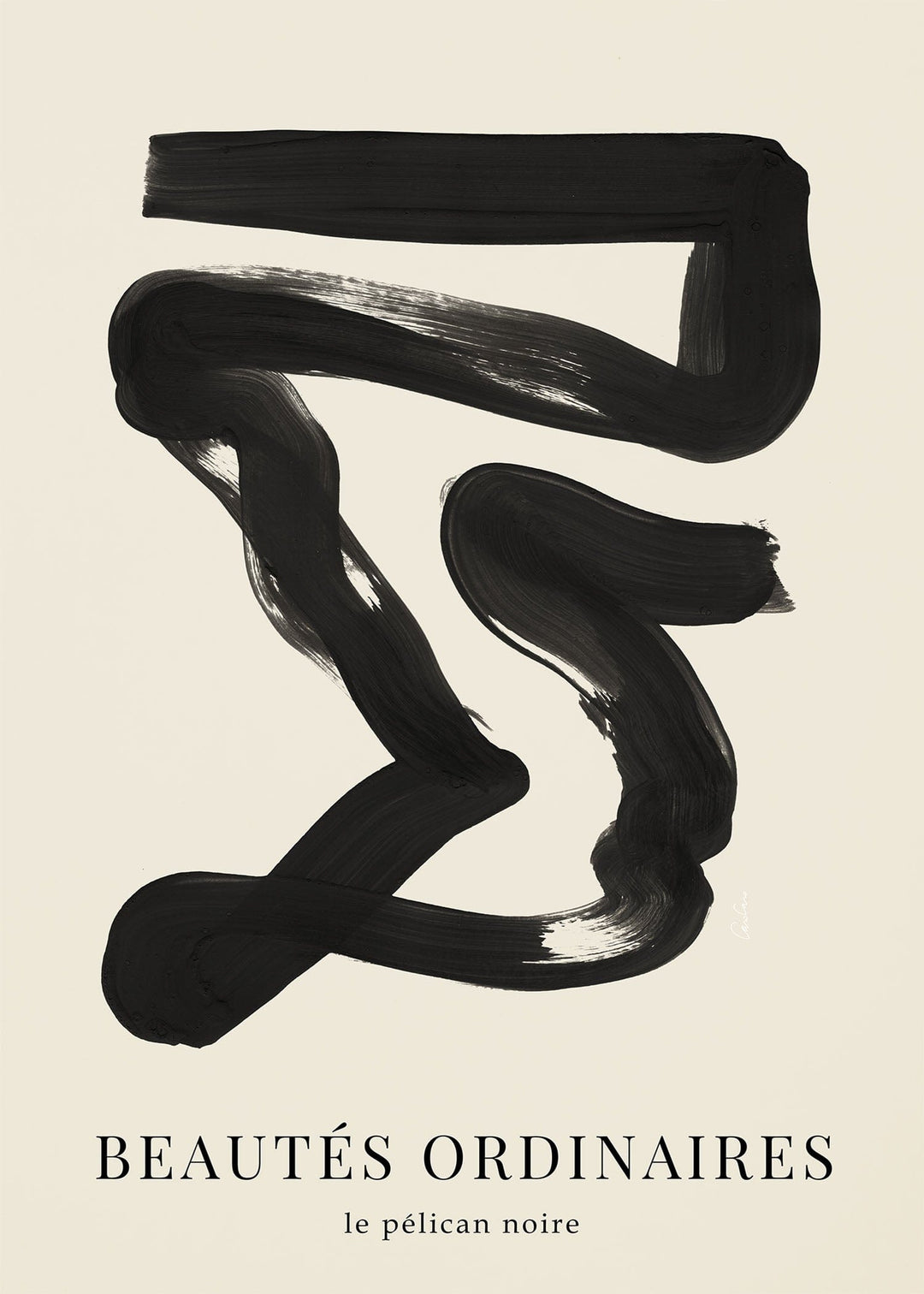Beautes Ordinaires - The Black Pelican