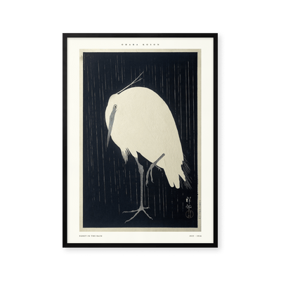 Egret in the rain