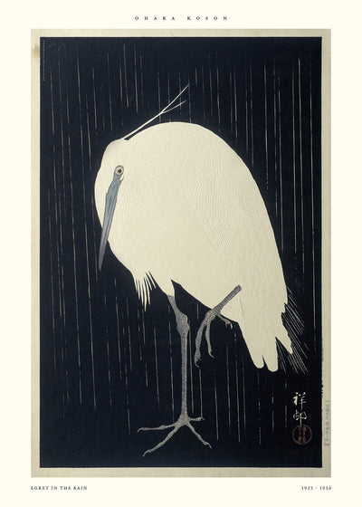 Egret in the rain