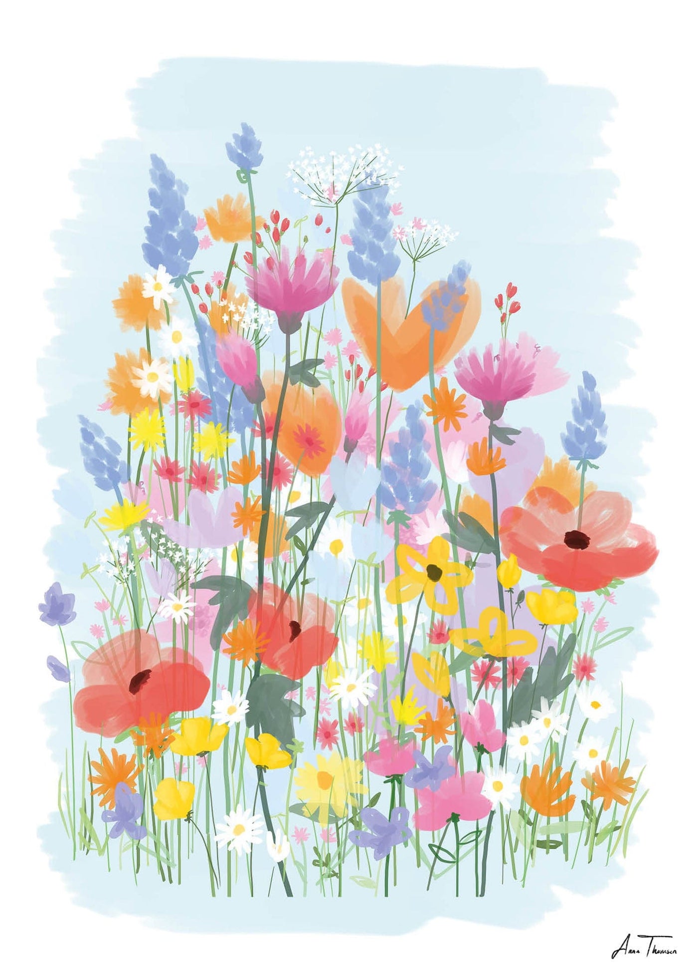 Flower Field No 3