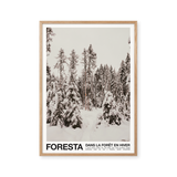 Foresta
