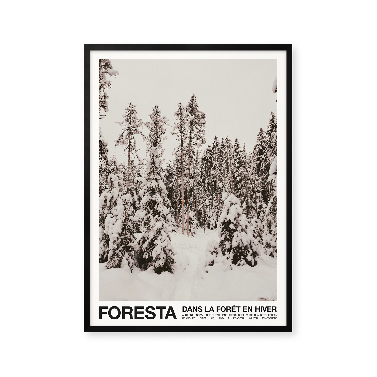 Foresta