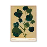 Nasturtium II