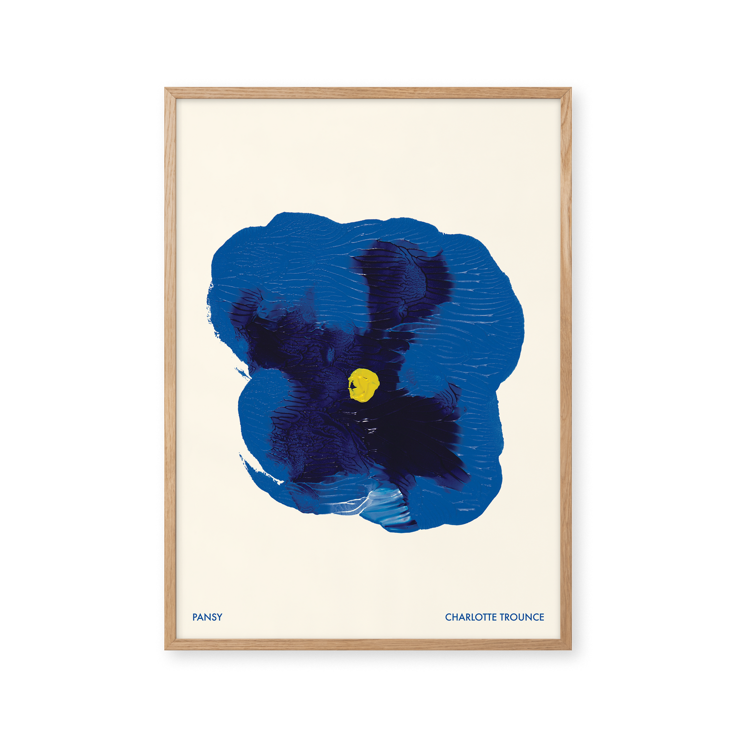 Pansy