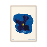 Pansy