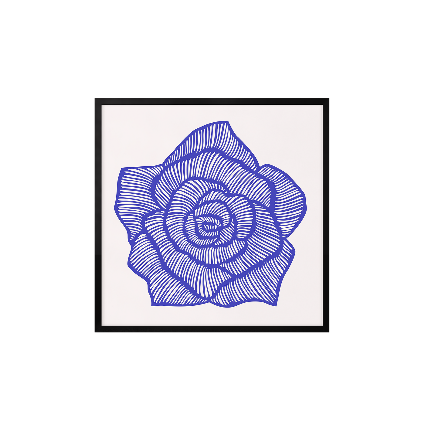 Rose – Blue