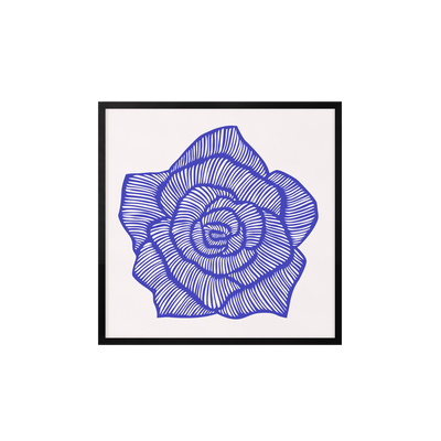 Rose – Blue