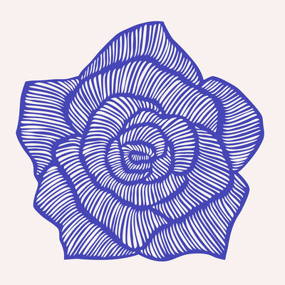 Rose – Blue