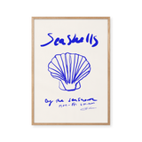 Seashells
