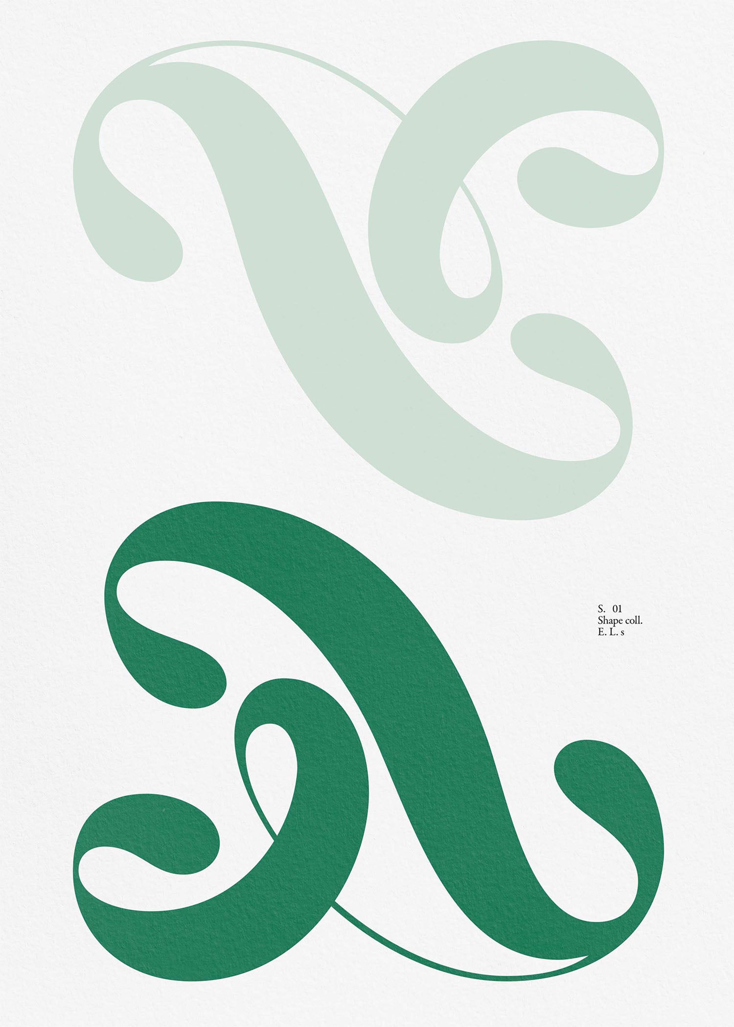 Tide Green