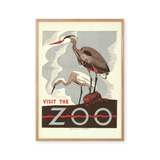 Visit the Zoo